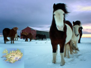 Iceland