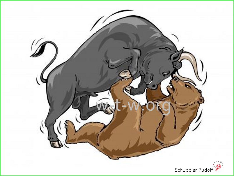 Bulle und Baer