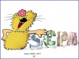 Lilah is Finance Expert Cash Manager Design Isabell 
