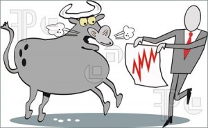 Stock Market