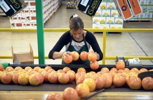 Orangen Orangensaft