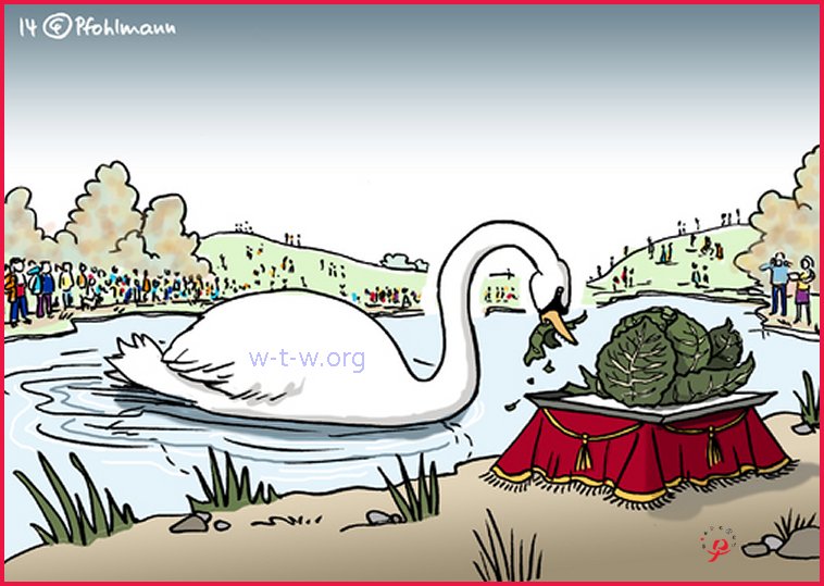 Kohl-Schwan