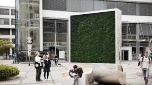 CityTree