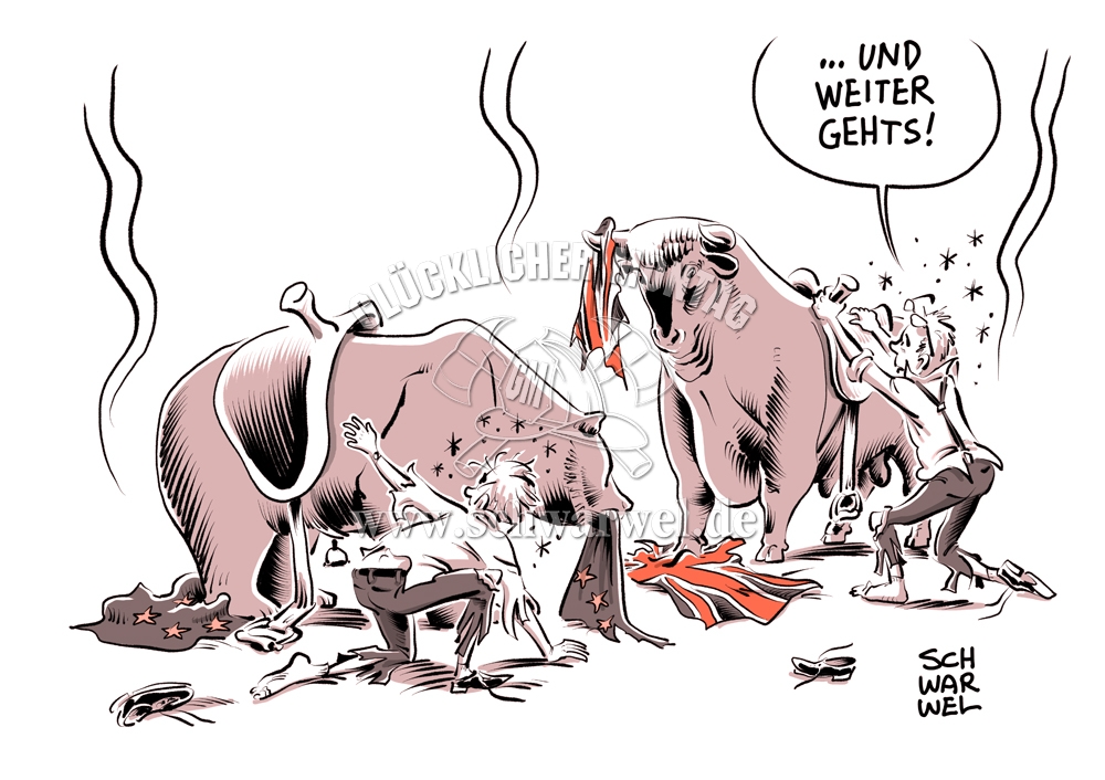 schwarwel-karikatur.com