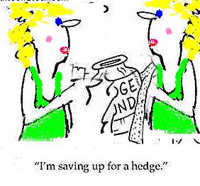 hedge fund manager