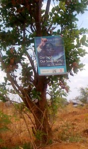 In Zimbabwe most of the women’s economic empowerment