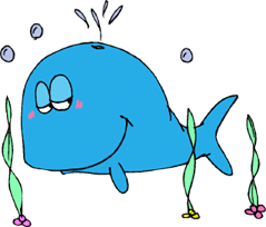whale