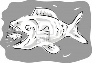 fish jpeg