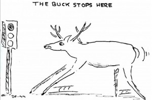 The Buck Stops Here