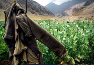 Drugs And Organized Crime Are Threats For World Peace