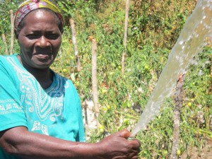 Our ambition has been to acquire more land and get treadle pumps. However, we cannot get a loan