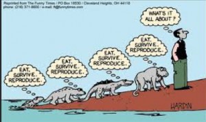 Philosophy?