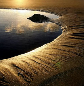Dark Pools