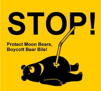 Bear Bile