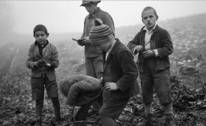 Child Labor