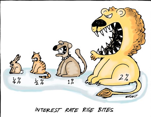 Interest Rates?