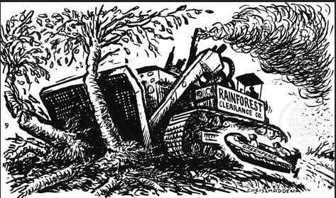 Pay to Save Forests?