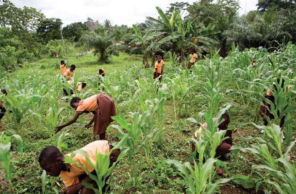 4H members in Africa