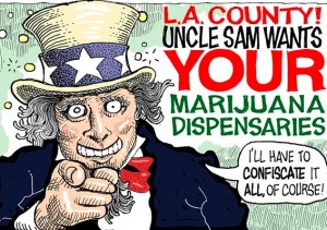 Cannabis