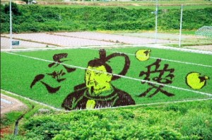 Rice Growing in Japan