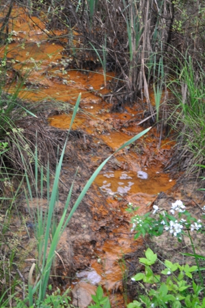 Acidic Mine Water