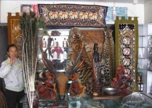 Tiger and Leopard Skins for Sale