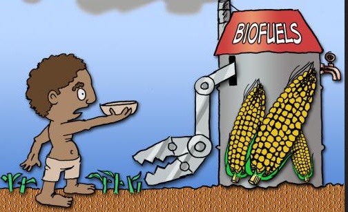 Biofuels