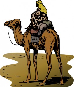 From Cars to Camels