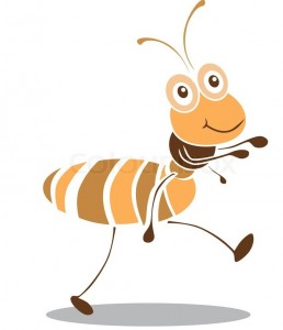 Ant to India