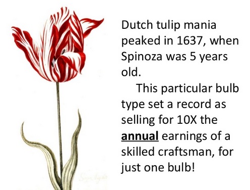 Tulip Craze