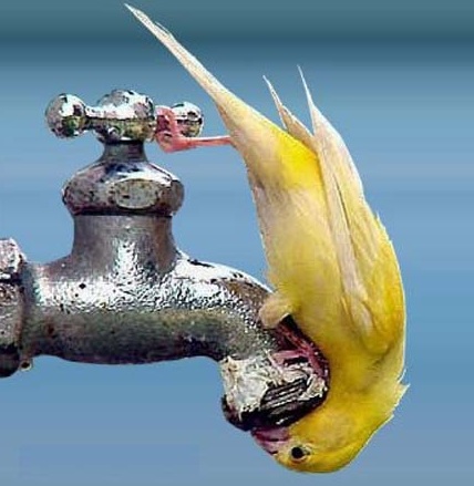 Water Shortage