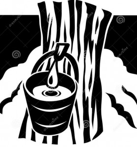 Maple Syrup