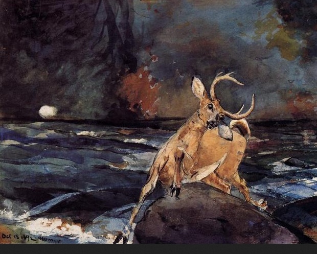 Ma Conserves the Adirondacks