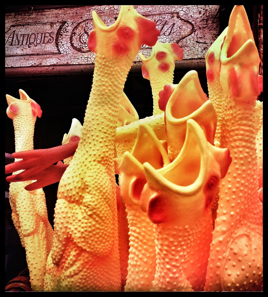 Image by Susan Rennie