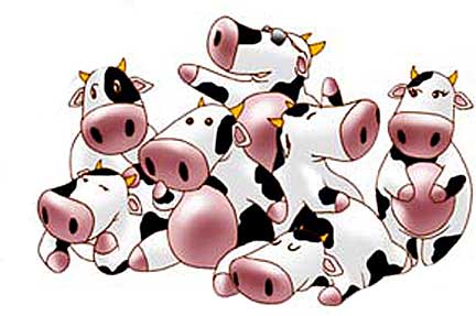 cartoon dairy cows 