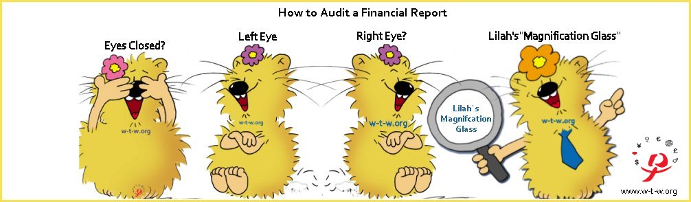 Audit Financial Report